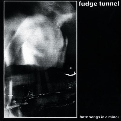 Bed Crumbs By Fudge Tunnel's cover