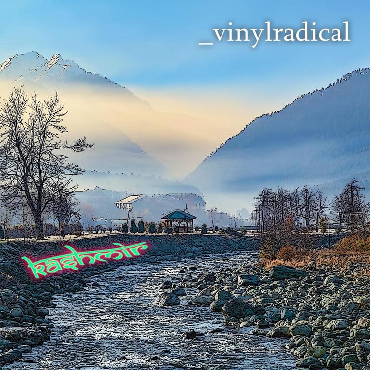 Vinyl Radical's avatar image