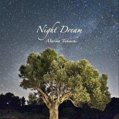 Night Dream's cover