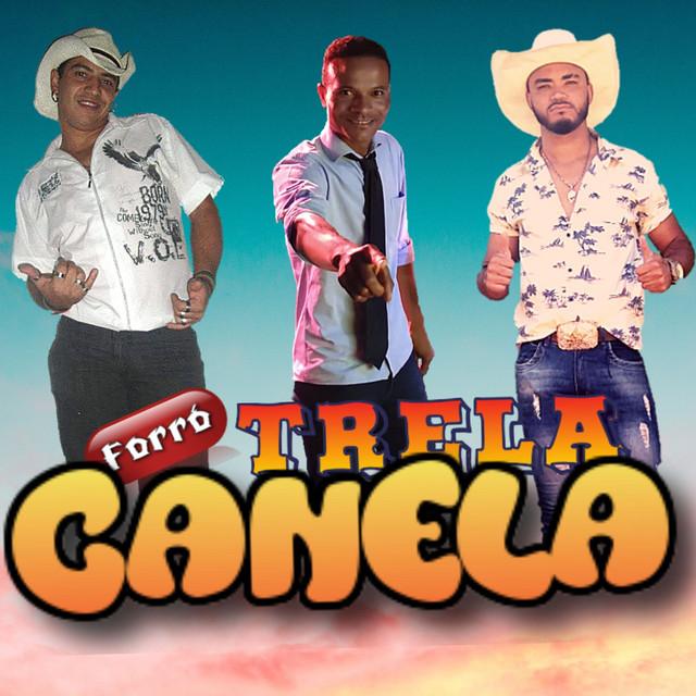 Forró Trela Canela's avatar image