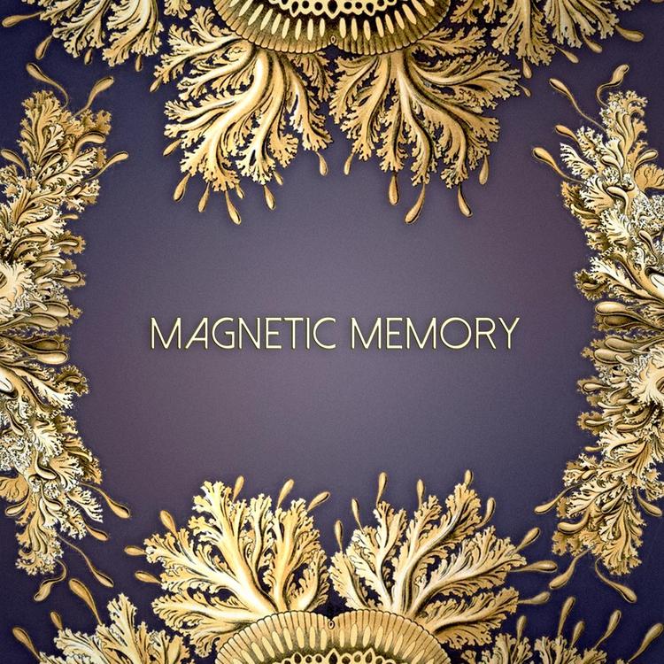 Magnetic Memory's avatar image