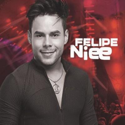 Levanta o Vestidinho (Ao Vivo) By Felipe Niee's cover