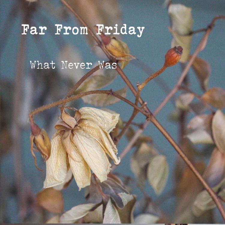 Far from Friday's avatar image