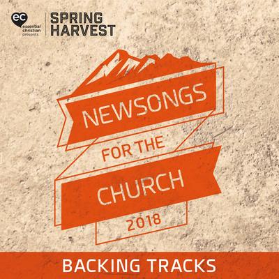 Newsongs for the Church 2018 [Backing Tracks]'s cover
