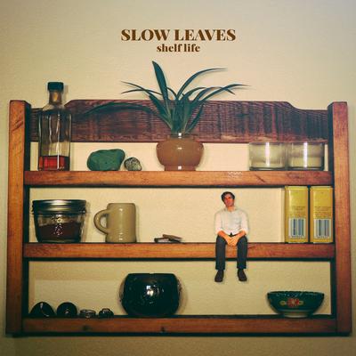 Sentimental Teardrops By Slow Leaves's cover