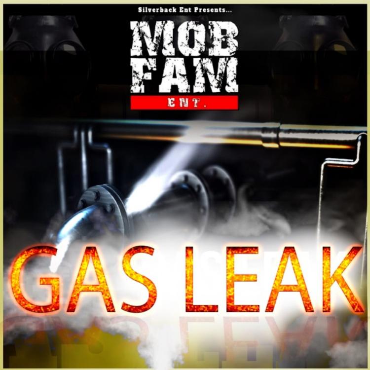 Mob Fam Ent's avatar image