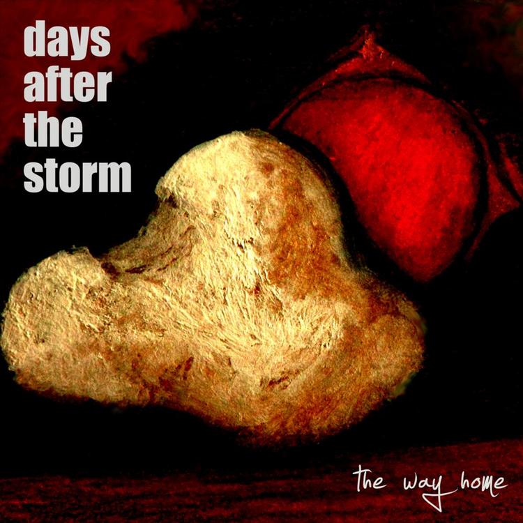 Days After the Storm's avatar image