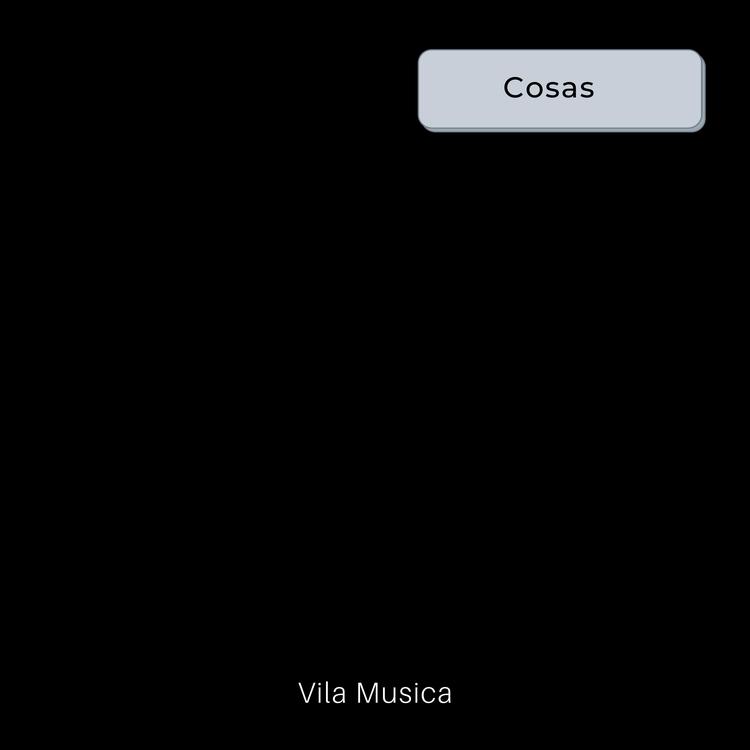 Vila Musica's avatar image