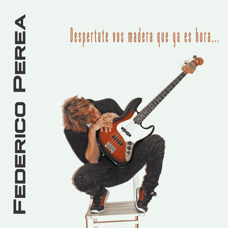 Federico Perea's avatar image