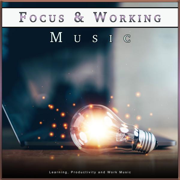 Music for Work's avatar image