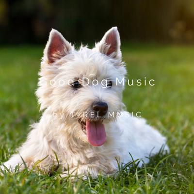 Good Dog Music's cover