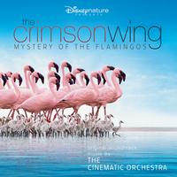 The London Metropolitan Orchestra's avatar cover