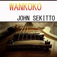 John Sekitto's avatar cover