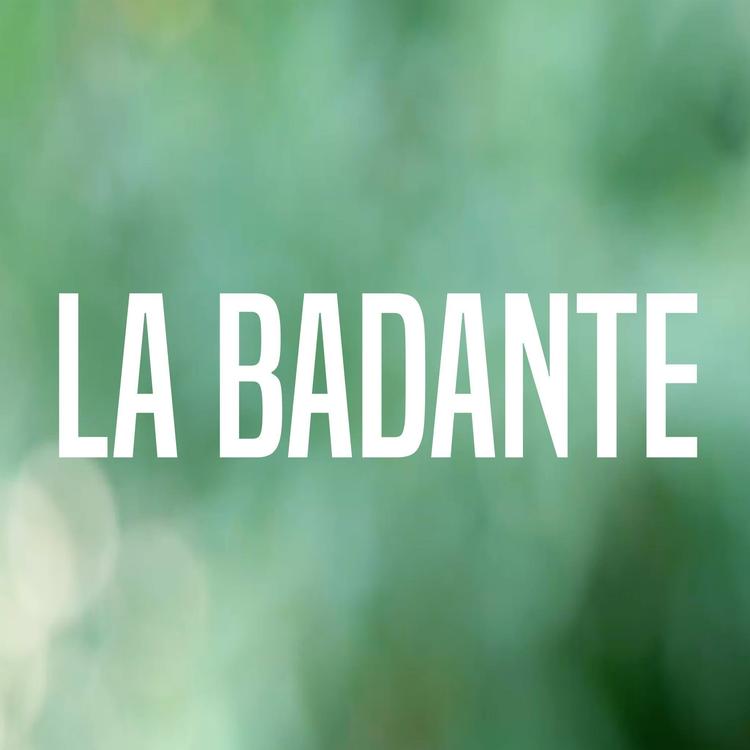 La Badante's avatar image