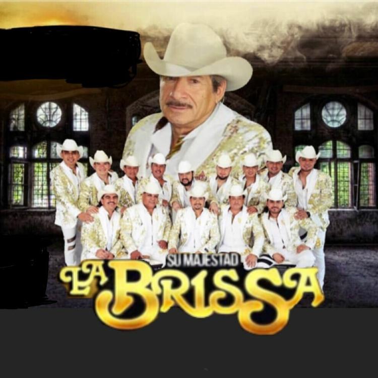 Su Majestad La Brissa's avatar image