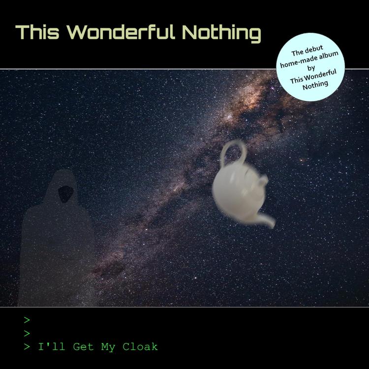 This Wonderful Nothing's avatar image