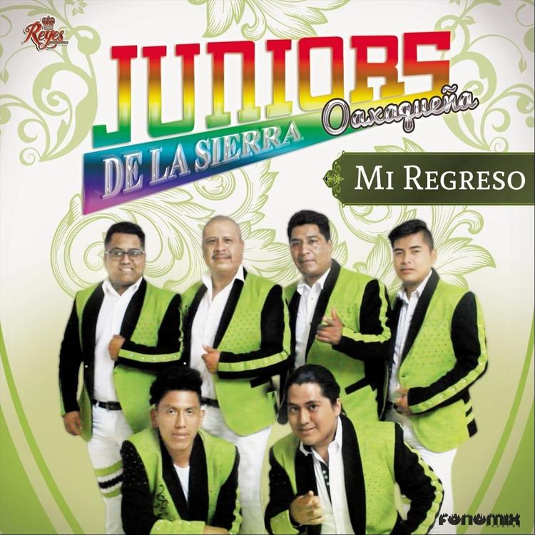 Juniors de la Sierra Oaxaqueña's avatar image