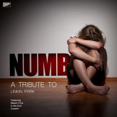 Numb By Ameritz Tribute Club's cover