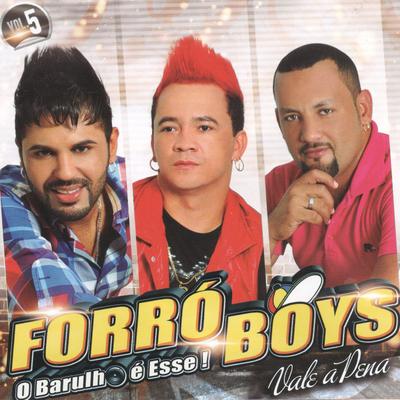 Depois Que Eu Te Conheci By Forró Boys's cover