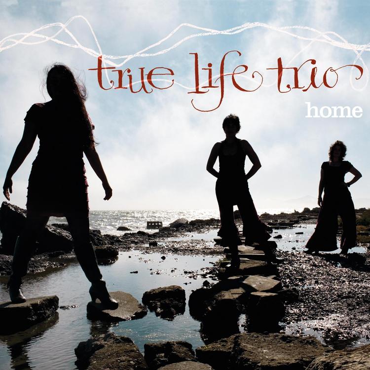 True Life Trio's avatar image