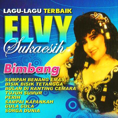 Lagu-Lagu Terbaik Elvy Sukaesih's cover