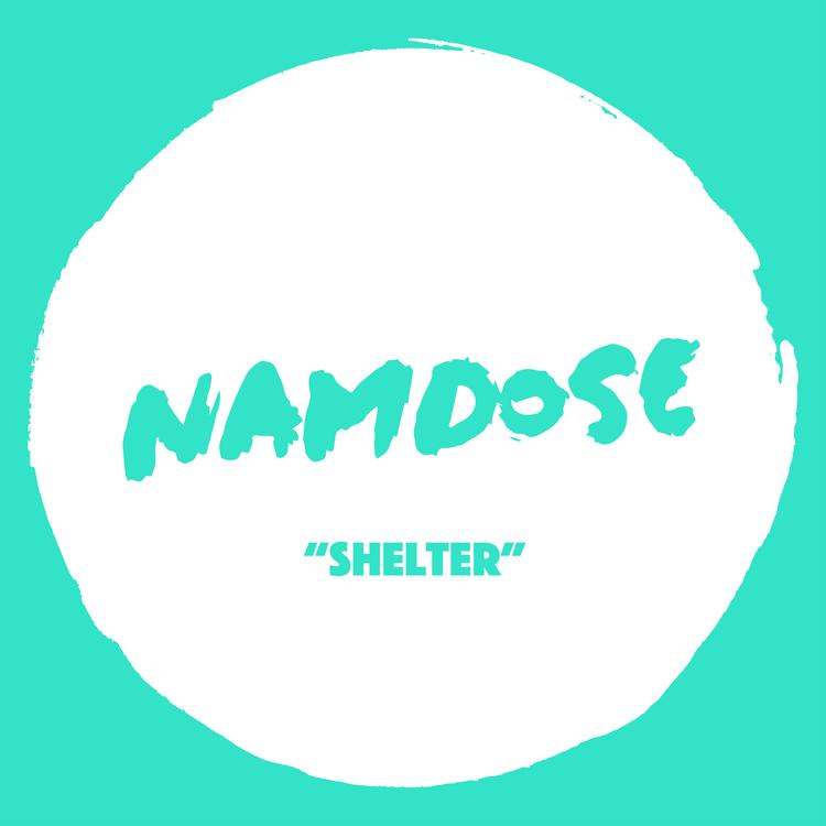 Namdose's avatar image