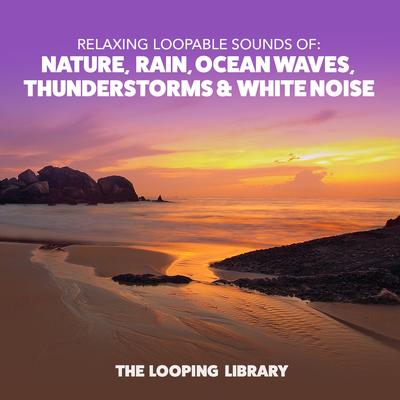 The Looping Library's cover
