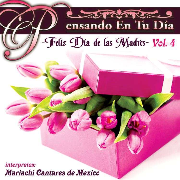 Mariachi Cantares De Mexico's avatar image