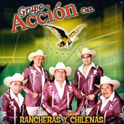 Rancheras y Chilenas's cover