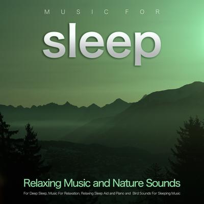 Ambient Bird Music By Deep Sleep, Music for Sleep, Nature Sounds's cover