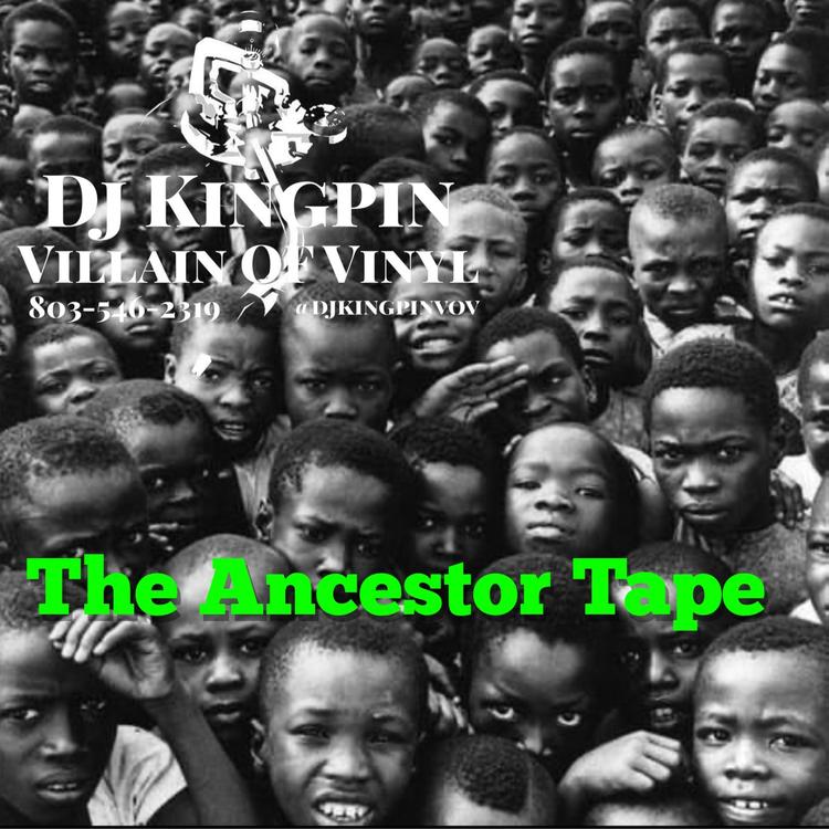 DJ Kingpin-Villain of Vinyl's avatar image