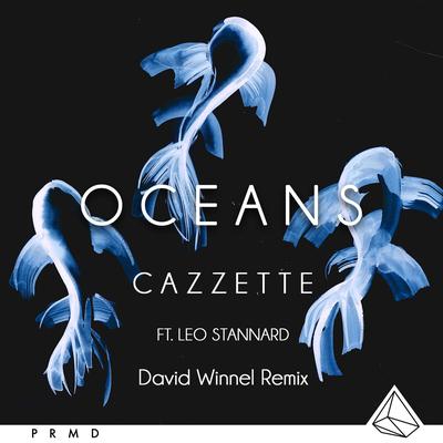 Oceans (feat. Leo Stannard) [Dave Winnel Remix]'s cover