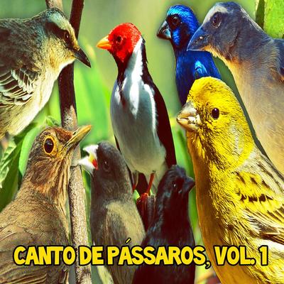 Canto de Pássaros, Vol. 1's cover