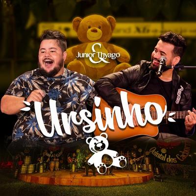 Ursinho (Ao Vivo)'s cover