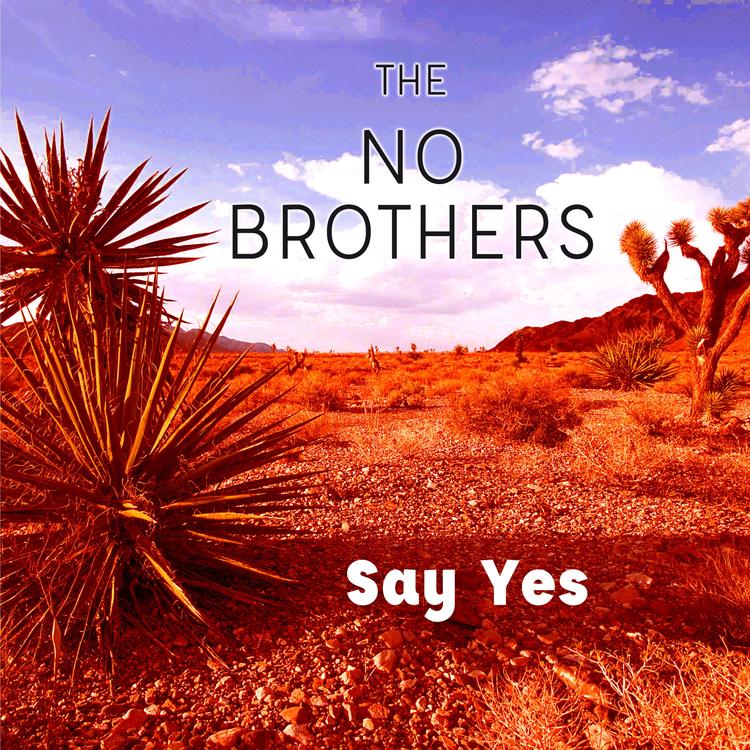 The No Brothers's avatar image