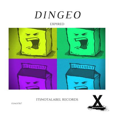 Dingeo's cover