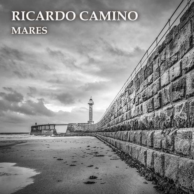 Ricardo Camino's avatar image