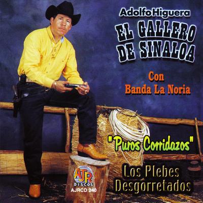 Adolfo Higuera "El Gallero De Sinaloa"'s cover