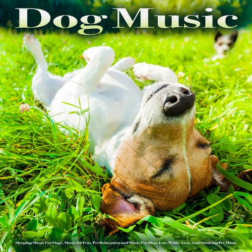 Music for dogs sales ears