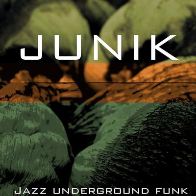 JUNIK's cover