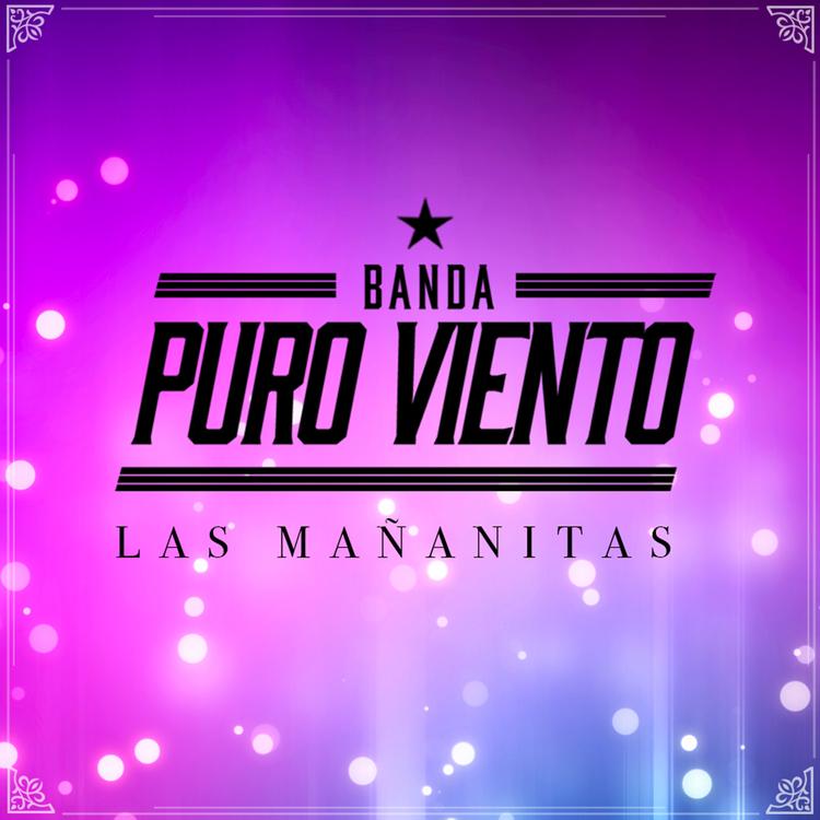 Banda Puro Viento's avatar image