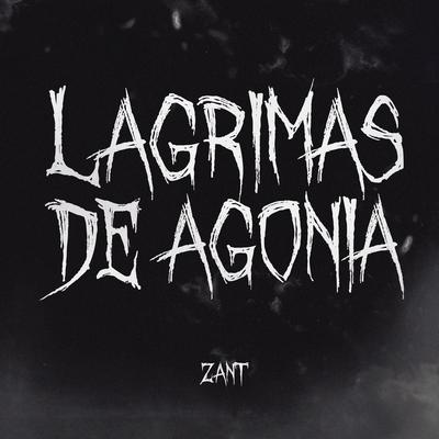 Lágrimas de Agonia By Zant, Sadstation's cover