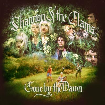 It's Too Late By Shannon & the Clams's cover