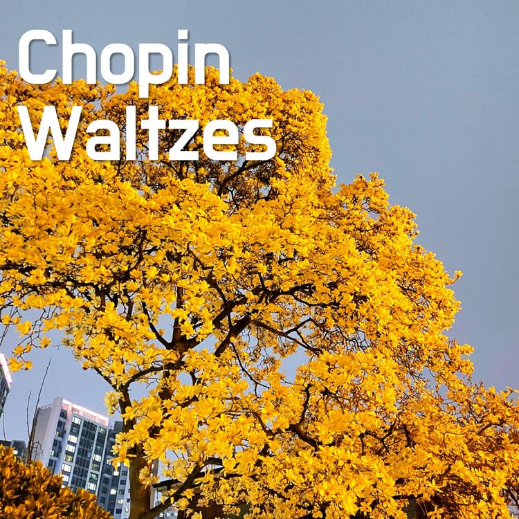 Chopin Waltzes's avatar image