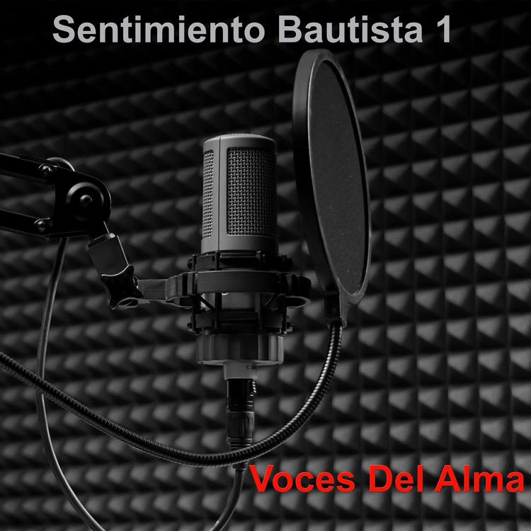 Voces Del Alma's avatar image