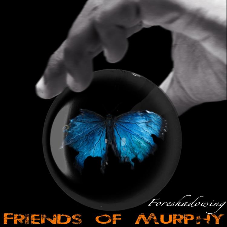 Friends of Murphy's avatar image