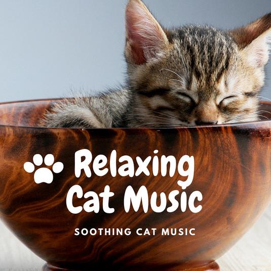 Soothing Cat Music's avatar image