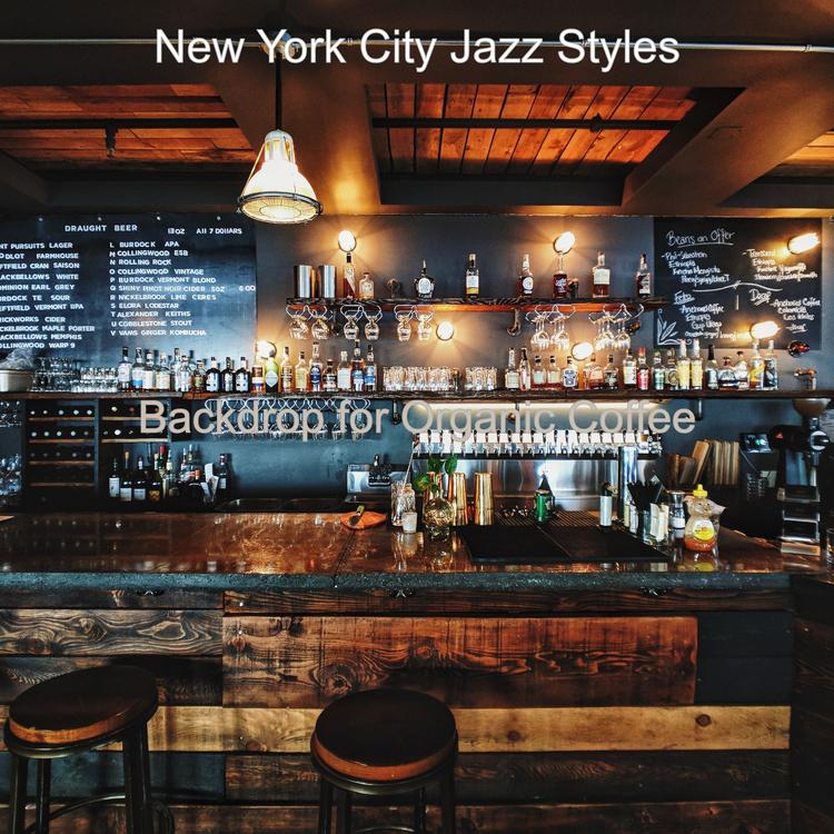 New York City Jazz Styles's avatar image