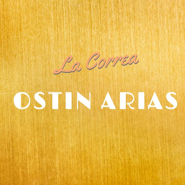 Ostin Arias's avatar image