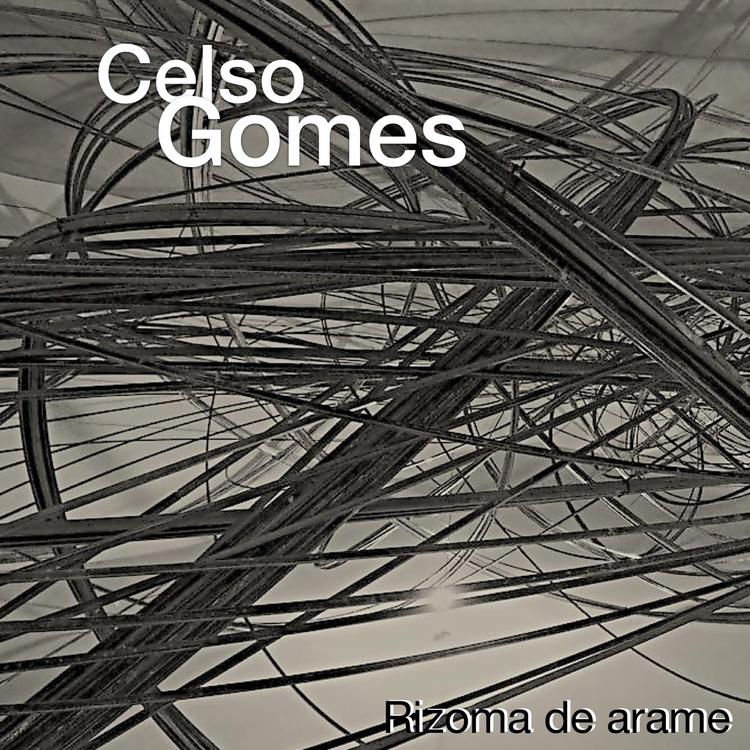 Celso Gomes's avatar image